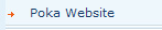 Sexual Wellness Website